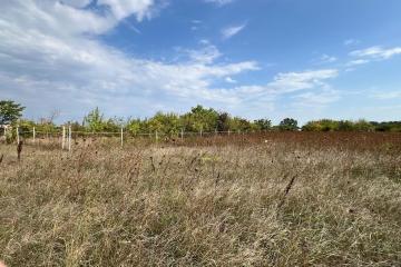 Фото №1: Земельный участок 20 сот. - Казазов, ул. Новосёлов