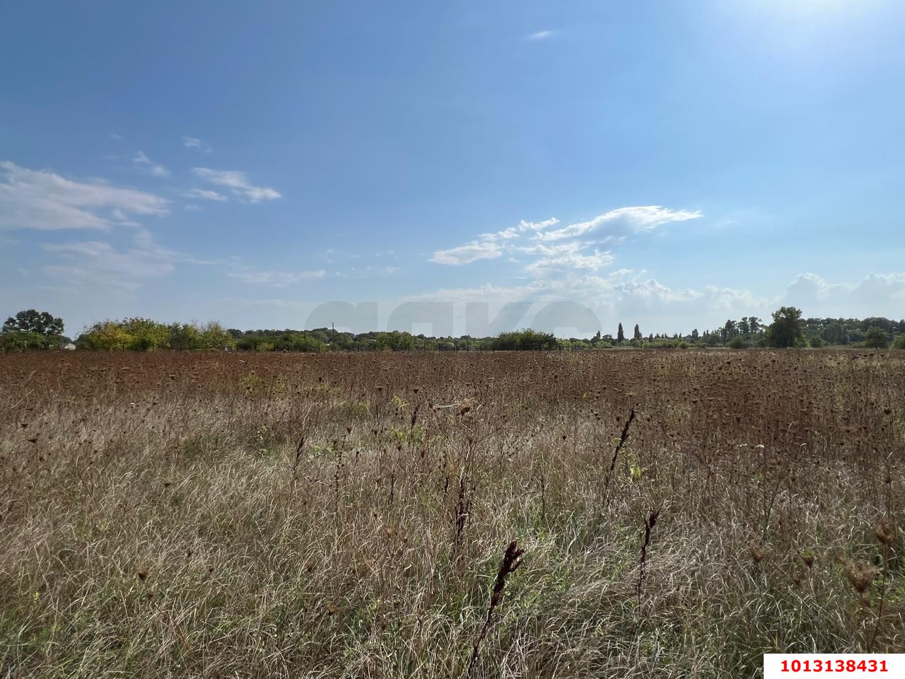 Фото №2: Земельный участок под ИЖС - Казазов, ул. Новосёлов