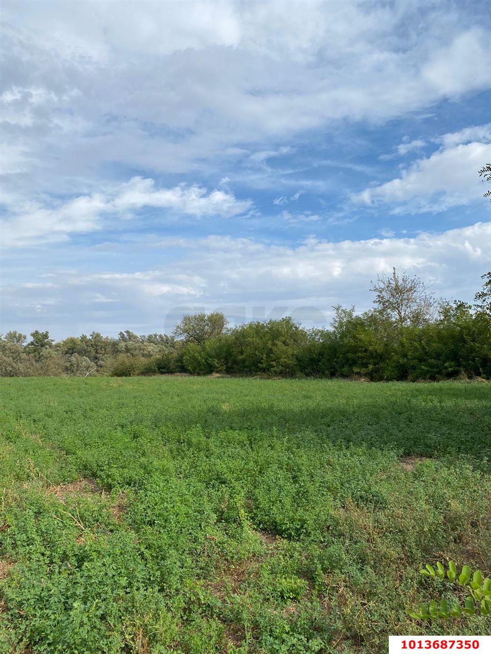 Фото №3: Земельный участок 25.13 сот. - Болгов, Прикубанский внутригородской округ, мкр. Панорама, ул. Кубанская, 86