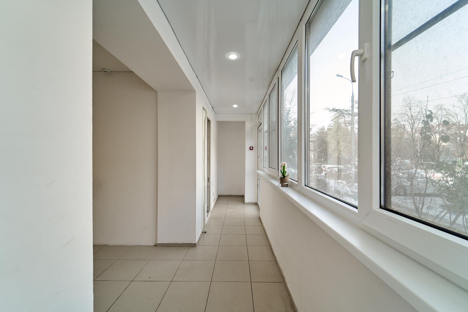 Фото №3: Студия 69 м² - Краснодар, Прикубанский внутригородской округ, мкр. Фестивальный, ул. имени Тургенева, 183