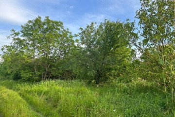 Фото №1: Участок садоводство 6 сот. - Октябрьский, ст Краснодарсельмаш, ул. Ростовская