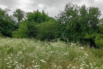 Фото №3: Участок садоводство 6 сот. - Октябрьский, ст Краснодарсельмаш, ул. Ростовская