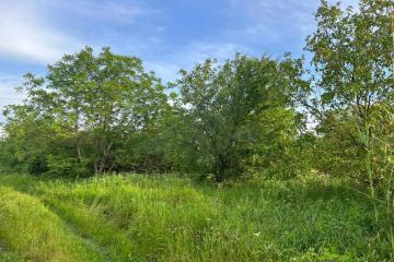 Фото №1: Земельный участок 6 сот. - Октябрьский, ст Краснодарсельмаш, ул. Ростовская