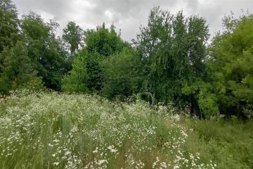 Фото №3: Земельный участок 6 сот. - Октябрьский, ст Краснодарсельмаш, ул. Ростовская