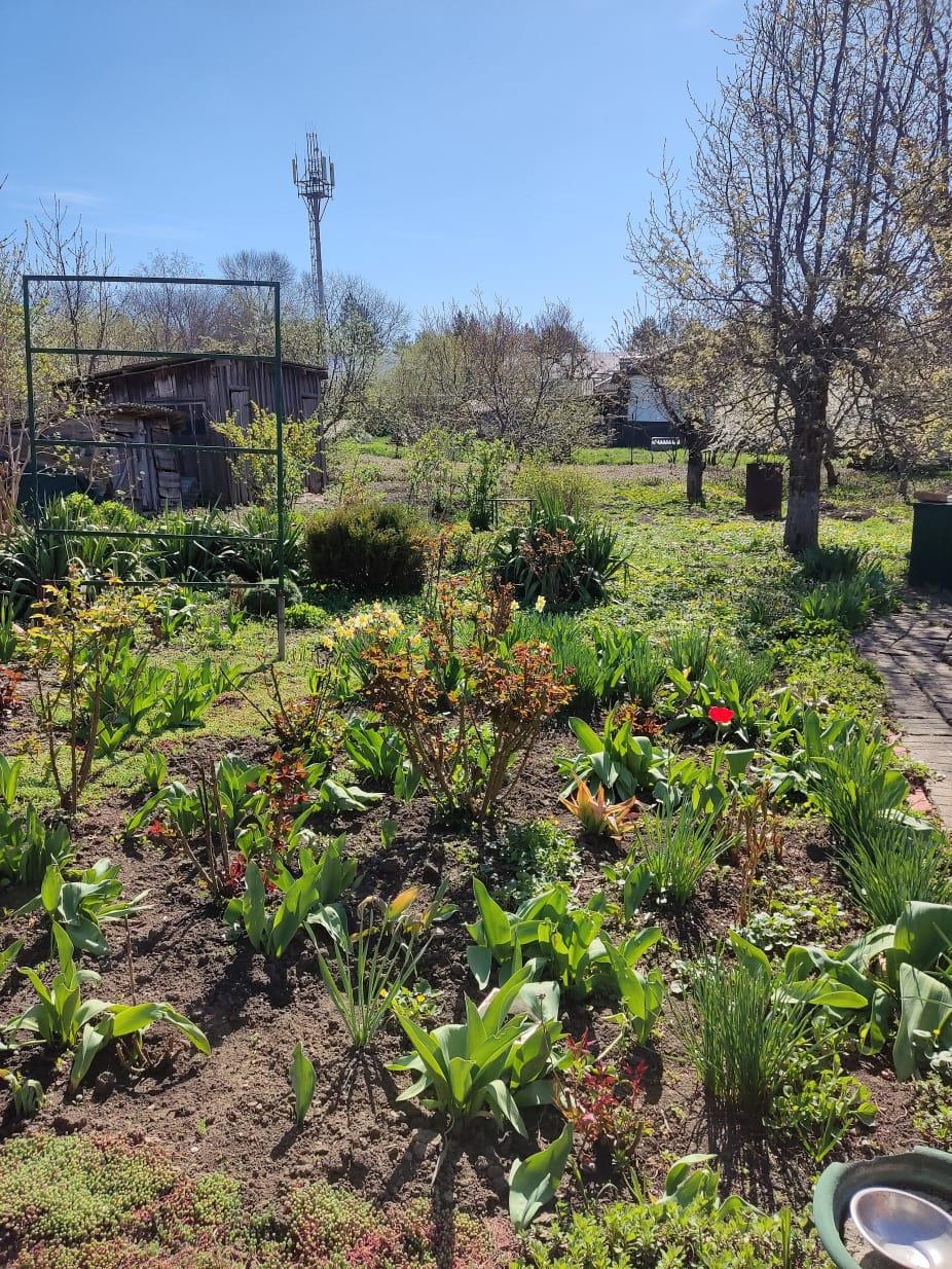 Фото №10: Дом 60 м² + 14 сот. - Роговская, ул. Почтовая, 55