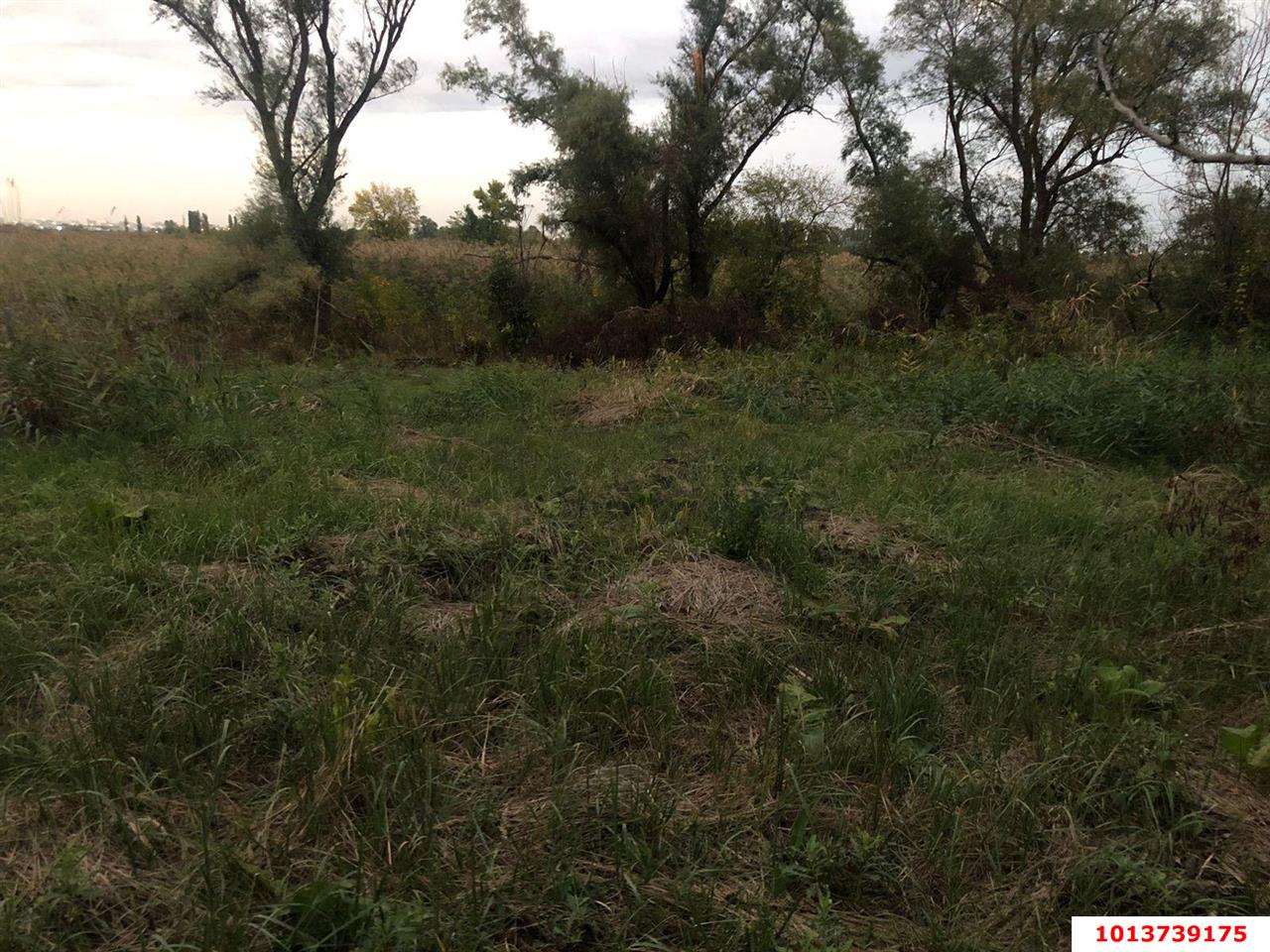 Фото №1: Земельный участок под ИЖС - Тахтамукай, ул. Чапаева, 53