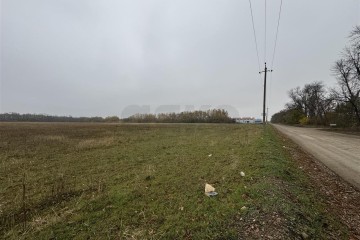 Фото №5: Коммерческая земля 200 сот. - Краснодар, мкр. Карасунский внутригородской округ, 