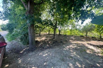 Фото №4: Участок садоводство 6.16 сот. - Камвольно-суконного Комбината-1, мкр. Прикубанский внутригородской округ, ул. Западная, 12