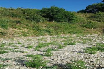 Фото №5: Земельный участок 9 сот. - Бжид, мкр. Бухта Инал, 