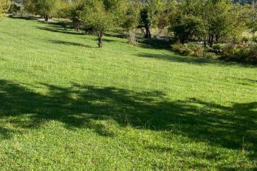 Фото №4: Земельный участок под ИЖС - Вардане-Верино, р. Адлерский, ул. Табачная, 18