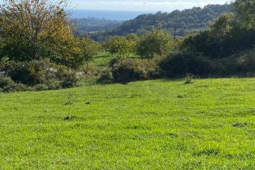 Фото №2: Земельный участок под ИЖС - Вардане-Верино, р. Адлерский, ул. Табачная, 18