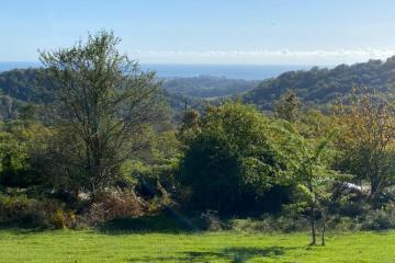 Фото №3: Земельный участок под ИЖС - Вардане-Верино, р. Адлерский, ул. Табачная, 18