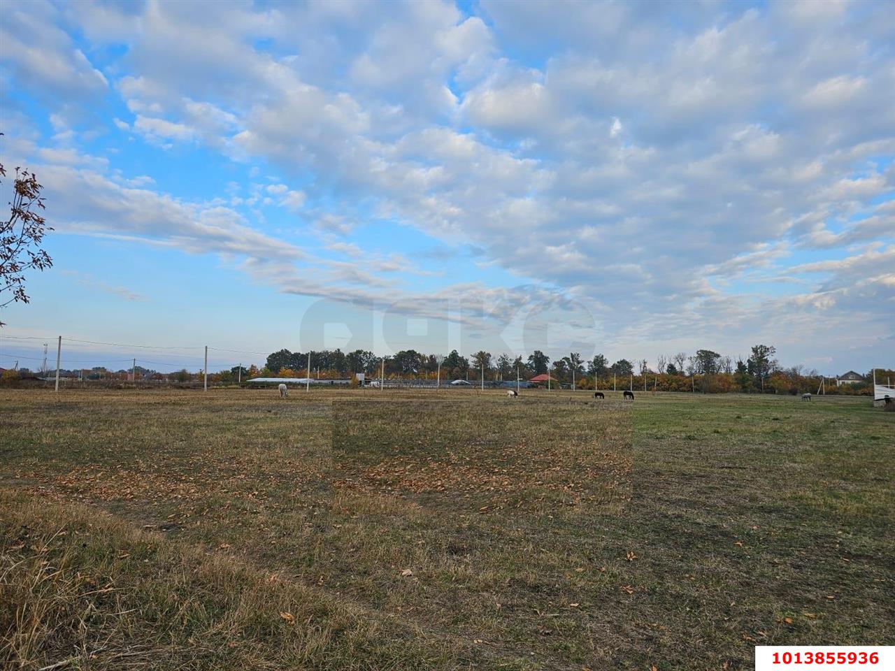 Фото №4: Земельный участок под ИЖС 4.56 сот. - Южный