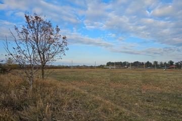 Фото №3: Земельный участок 4.5 сот. - Южный, 