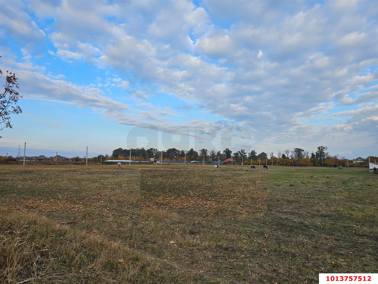 Фото №4: Земельный участок 4.5 сот. - Южный