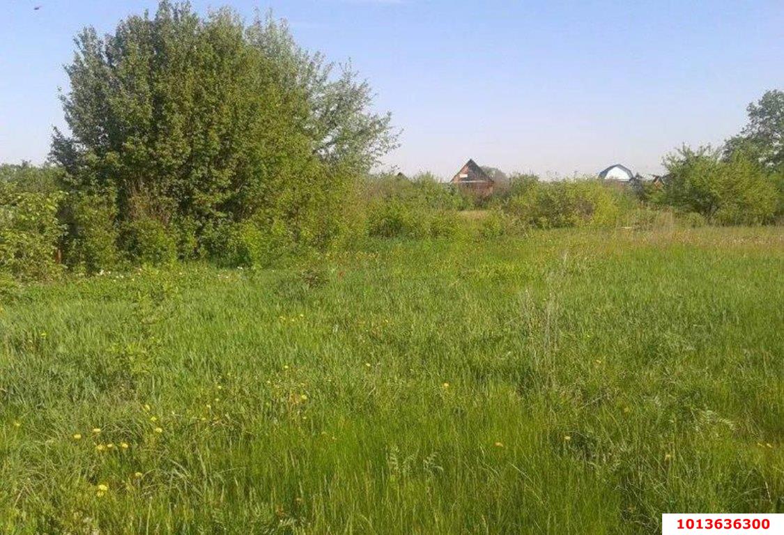 Фото №3: Личное подсобное хозяйство 15 сот. - Ярославская, ул. Цветочная, 6