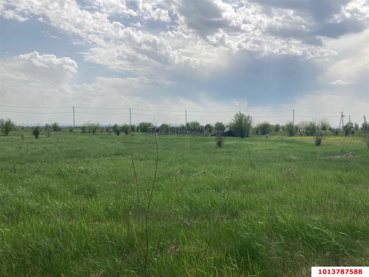 Фото №6: Личное подсобное хозяйство - Суповский, ул. Ленина, 38