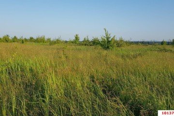 Фото №1: Участок садоводство 188 сот. - Суповский, ул. Ленина, 38