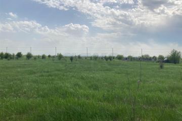 Фото №5: Личное подсобное хозяйство - Суповский, ул. Ленина, 38