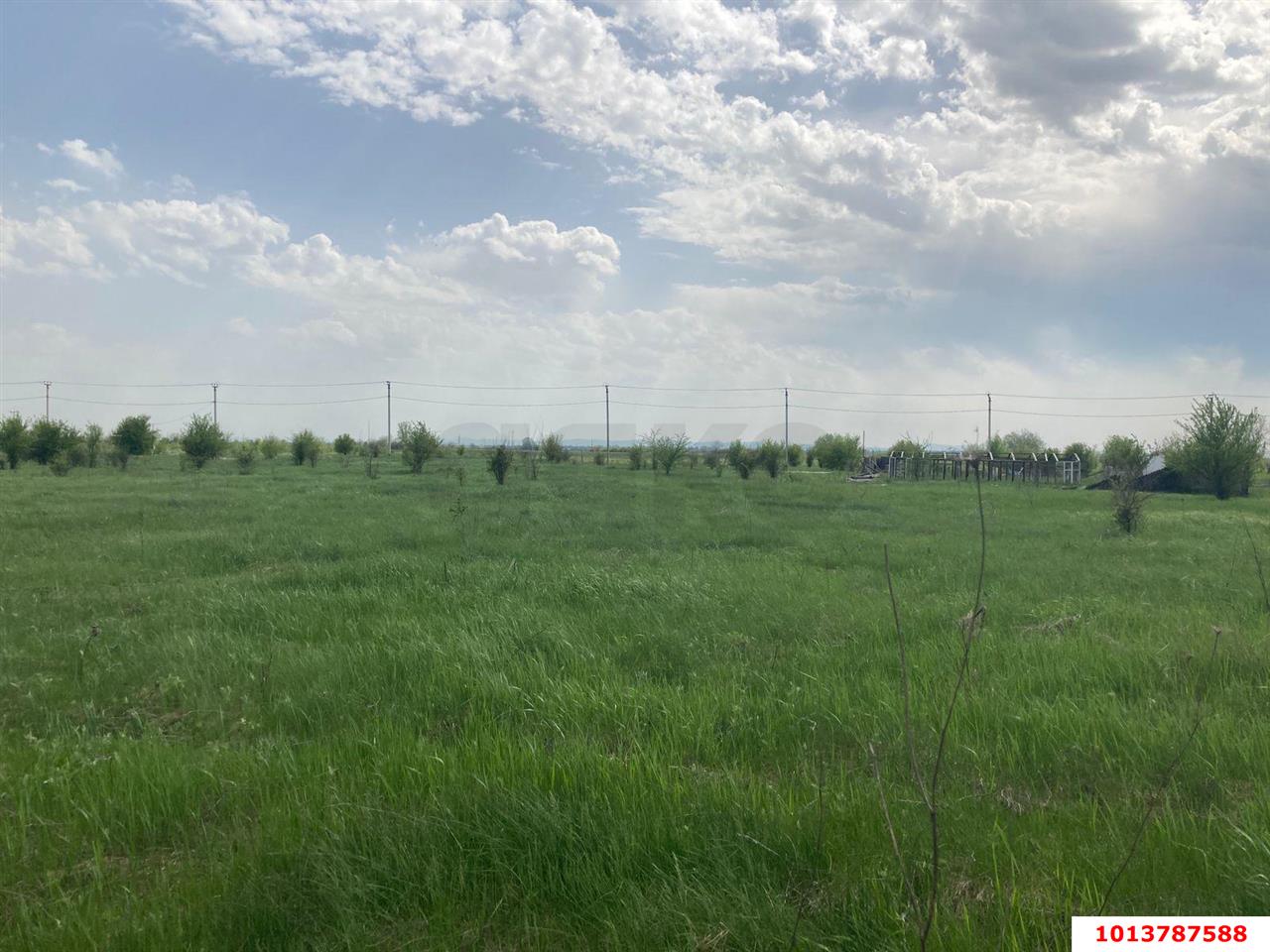 Фото №5: Личное подсобное хозяйство - Суповский, ул. Ленина, 38