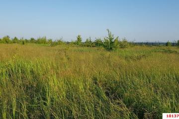 Фото №1: Личное подсобное хозяйство - Суповский, ул. Ленина, 38