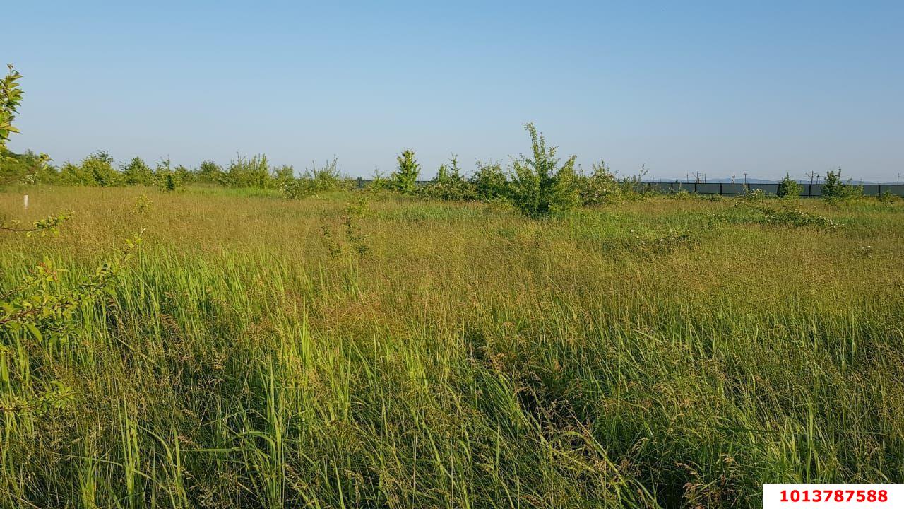 Фото №1: Личное подсобное хозяйство - Суповский, ул. Ленина, 38