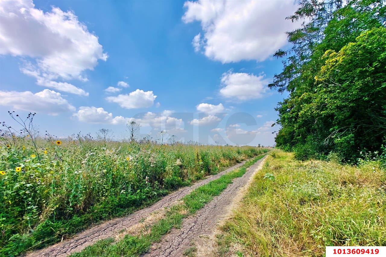 Фото №16: Земельный участок 6.11 сот. - Краснодар, ул. Купчинская, 22