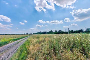 Фото №4: Земельный участок 6.11 сот. - Краснодар, мкр. КП Комарово, ул. Купчинская, 22