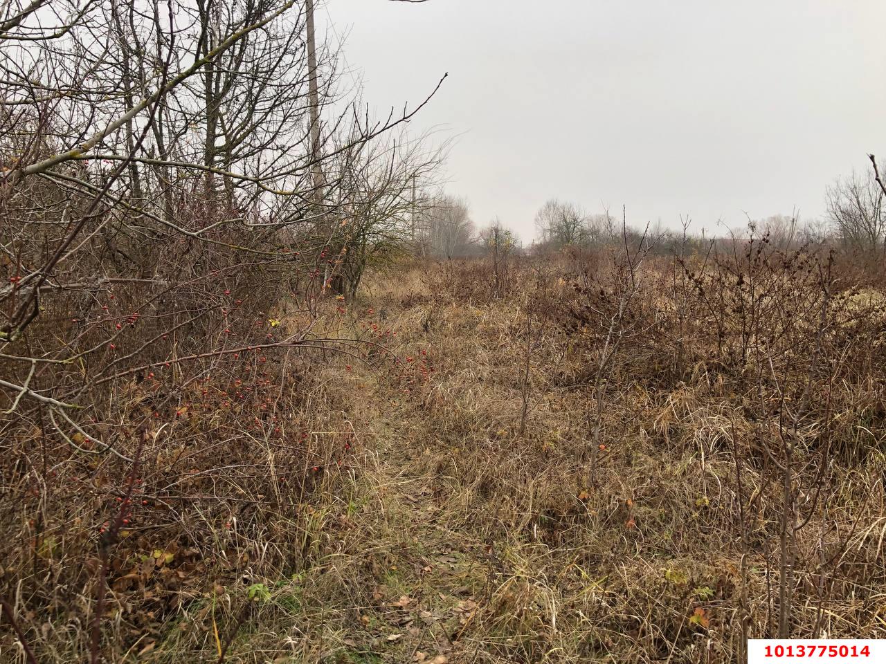 Фото №3: Земельный участок 8 сот. - Елизаветинская, ул. 2-я Линия, 95