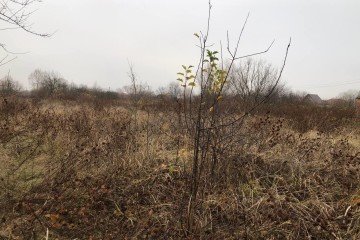 Фото №4: Участок садоводство 8 сот. - Елизаветинская, ст Автомобилист-2, ул. 2-я Линия, 95