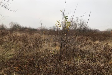 Фото №4: Участок садоводство 8 сот. - Елизаветинская, ст Автомобилист-2, ул. 2-я Линия, 95