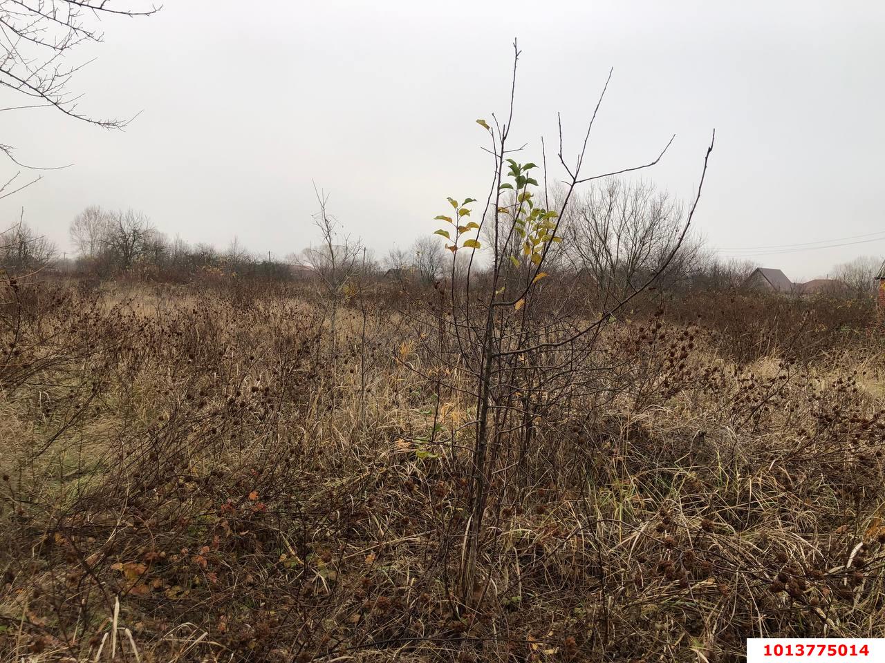 Фото №4: Земельный участок 8 сот. - Елизаветинская, ул. 2-я Линия, 95