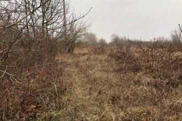 Фото №3: Участок садоводство 8 сот. - Елизаветинская, ст Автомобилист-2, ул. 2-я Линия, 95