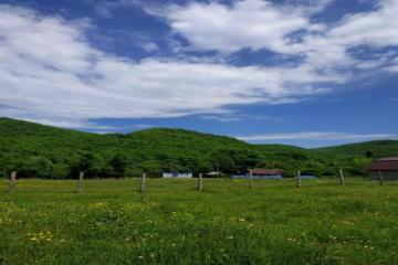 Фото №3: Коммерция 450 м² - Краснодарский край Апшеронский район