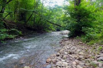 Фото №1: Коммерческая земля 450 сот. - Краснодарский край Апшеронский район