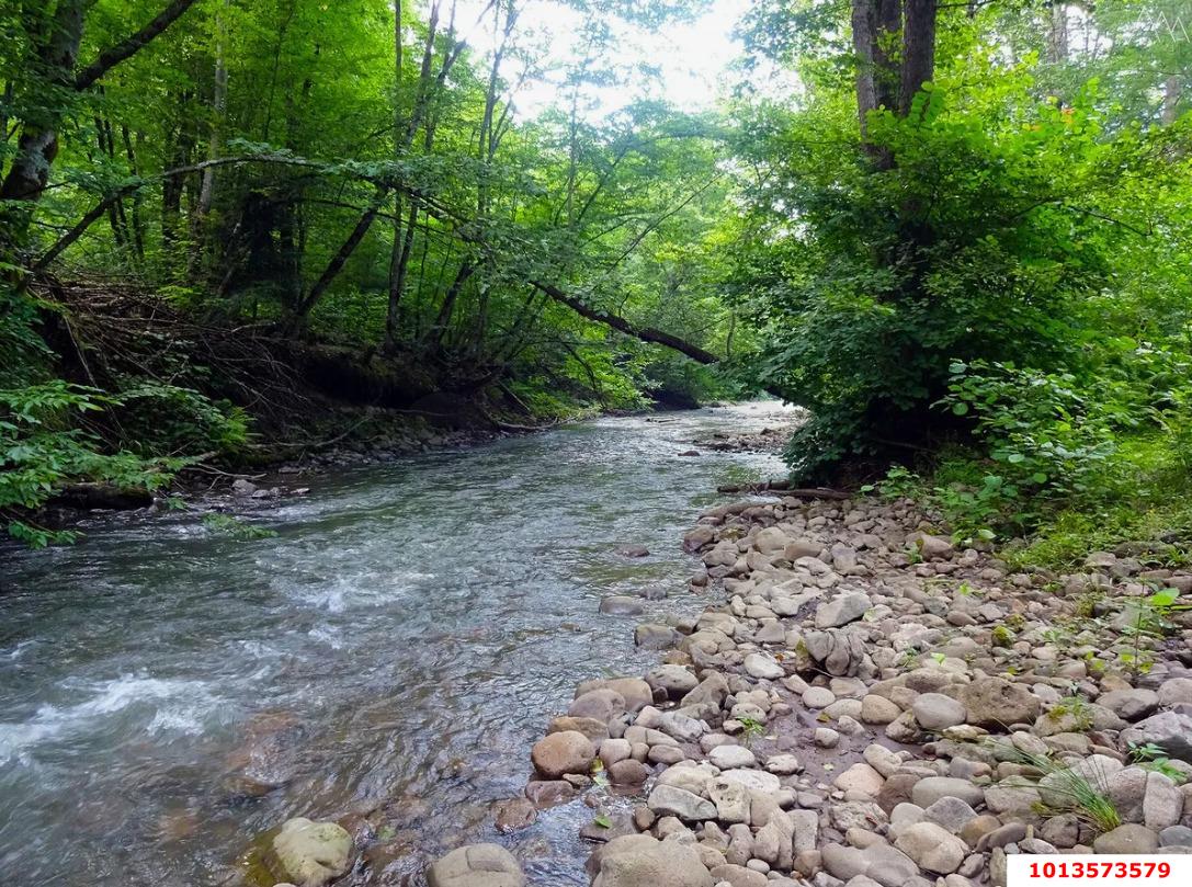 Фото №1: Коммерческая земля 450 сот. - Краснодарский край Апшеронский район