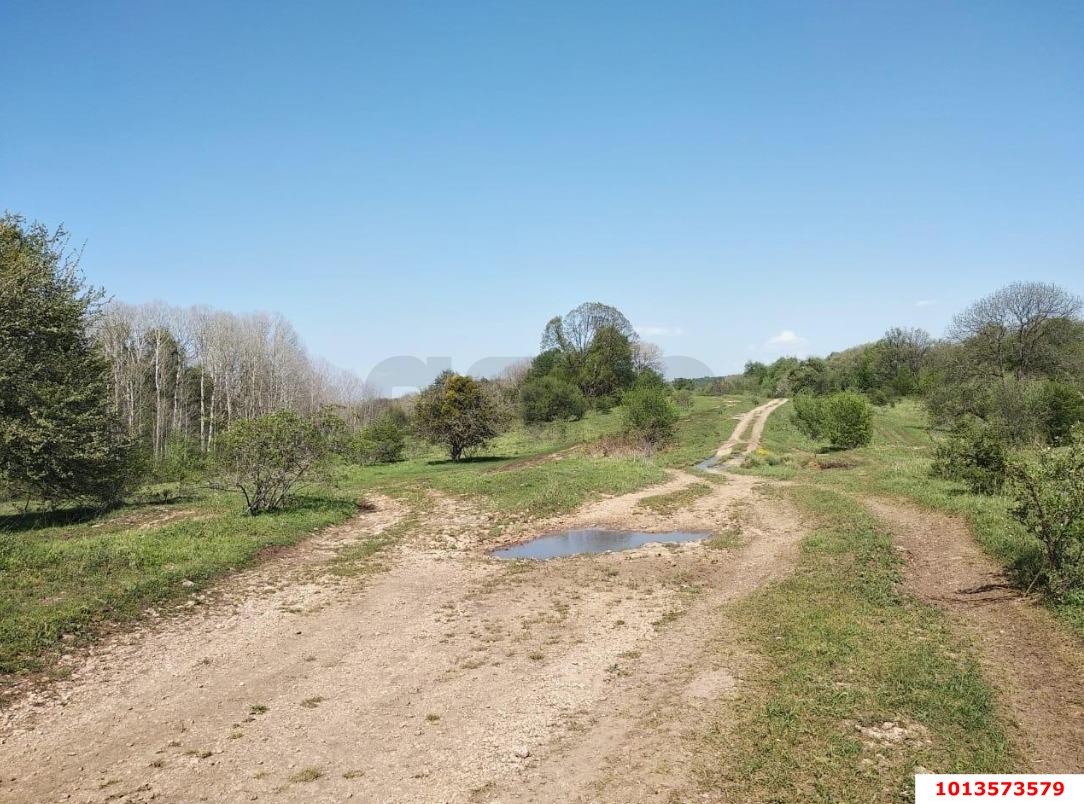 Фото №4: Коммерческая земля 450 сот. - Краснодарский край Апшеронский район