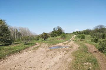 Фото №4: Коммерция 450 м² - Краснодарский край Апшеронский район