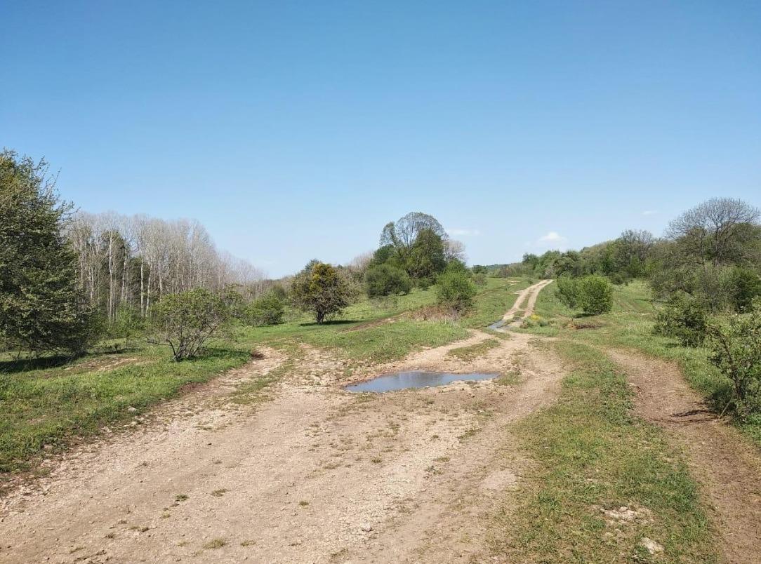 Фото №4: Коммерция 450 м² - Краснодарский край Апшеронский район