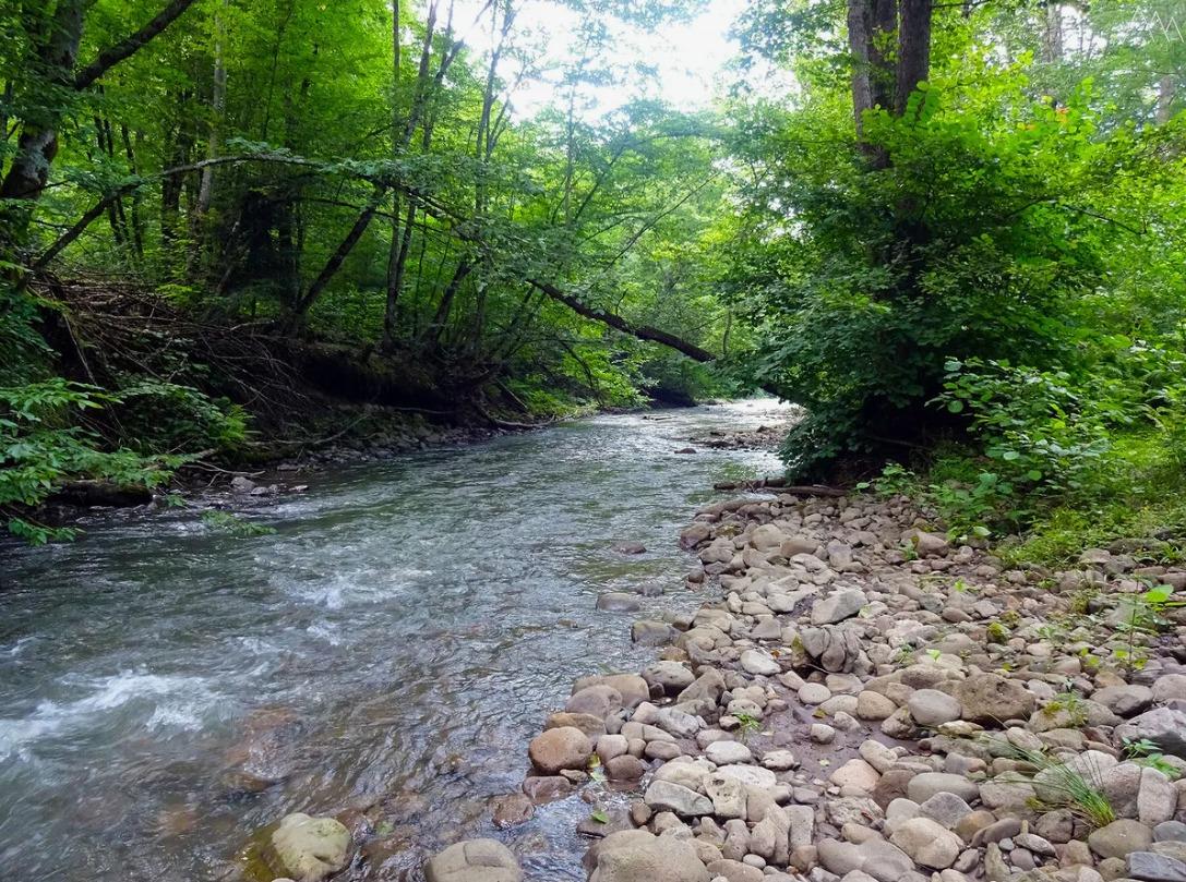 Фото №1: Коммерция 450 м² - Краснодарский край Апшеронский район