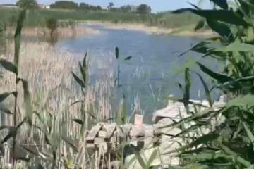 Фото №4: Земельный участок под ИЖС - Старовеличковская, мкр. Магилат, ул. Королёва