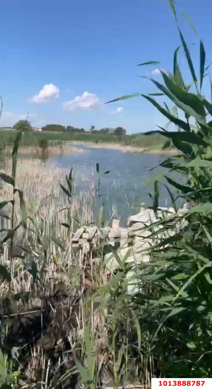 Фото №4: Земельный участок под ИЖС - Старовеличковская, мкр. Магилат, ул. Королёва