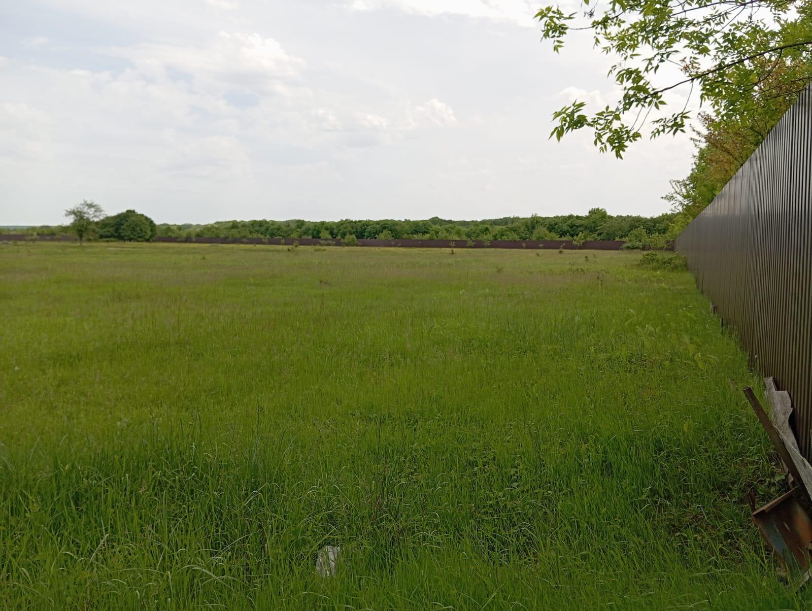 Фото №9: Коммерция 1505 м² - Саратовская, Прикубанский внутригородской округ, мкр. Славянский, ул. Табачная, 41