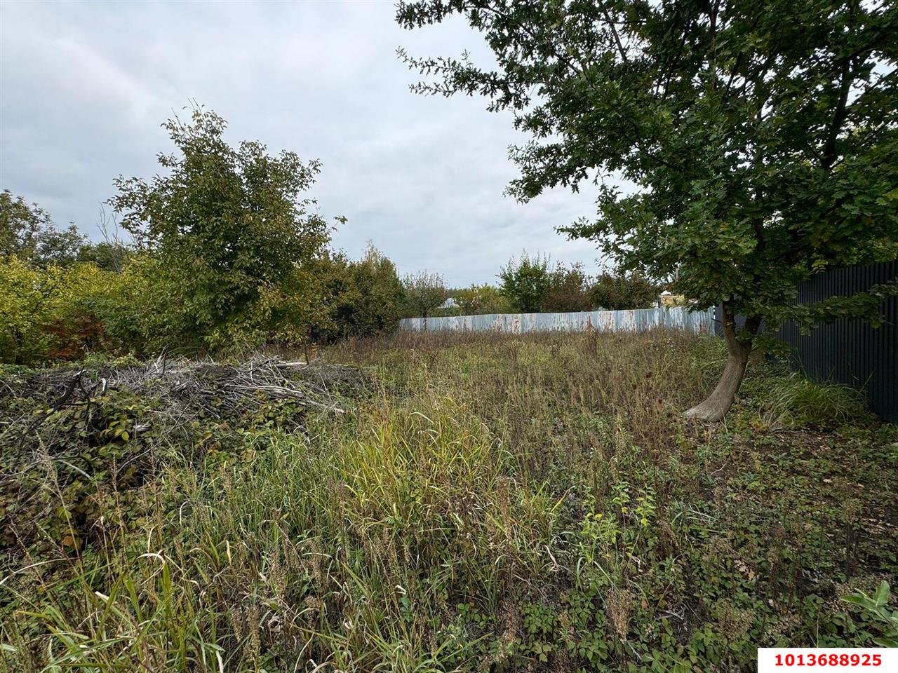 Фото №4: Личное подсобное хозяйство - Железнодорожник-3, ул. Сливовая, 760