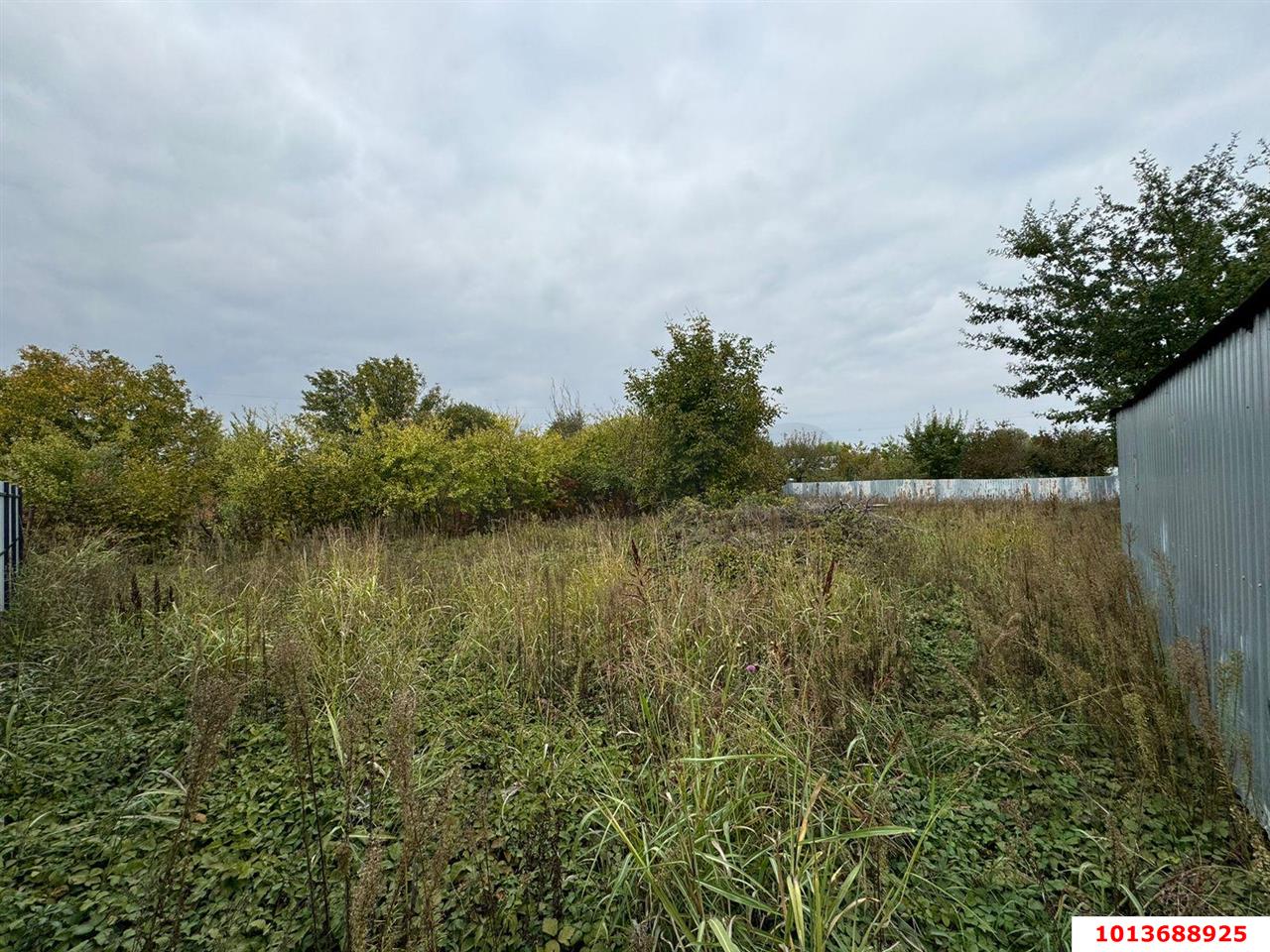 Фото №7: Участок садоводство 6.59 сот. - Железнодорожник-3, Карасунский внутригородской округ, ул. Сливовая, 760