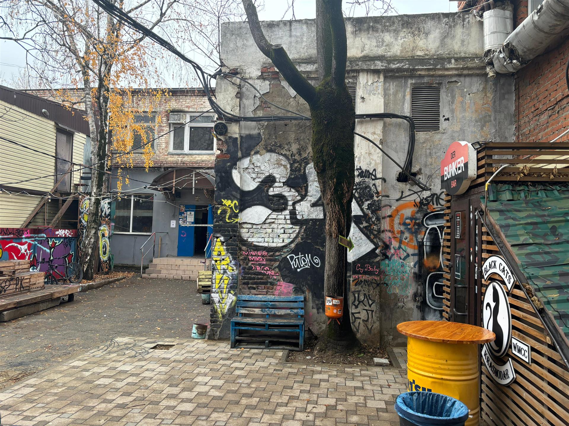 Фото №3: Коммерция 26 м² - Краснодар, Западный внутригородской округ, мкр. Центральный, ул. Мира, 34