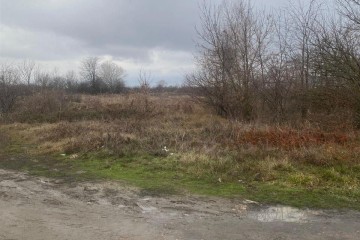 Фото №3: Участок садоводство 9.91 сот. - Елизаветинская, мкр. СТ Бригантина, ул. Малиновая, 133