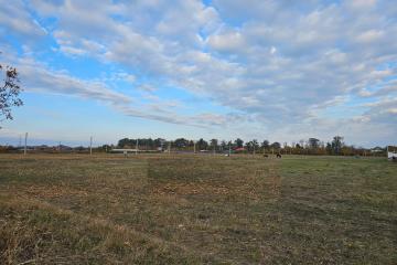 Фото №4: Земельный участок 4.56 сот. - Южный, 