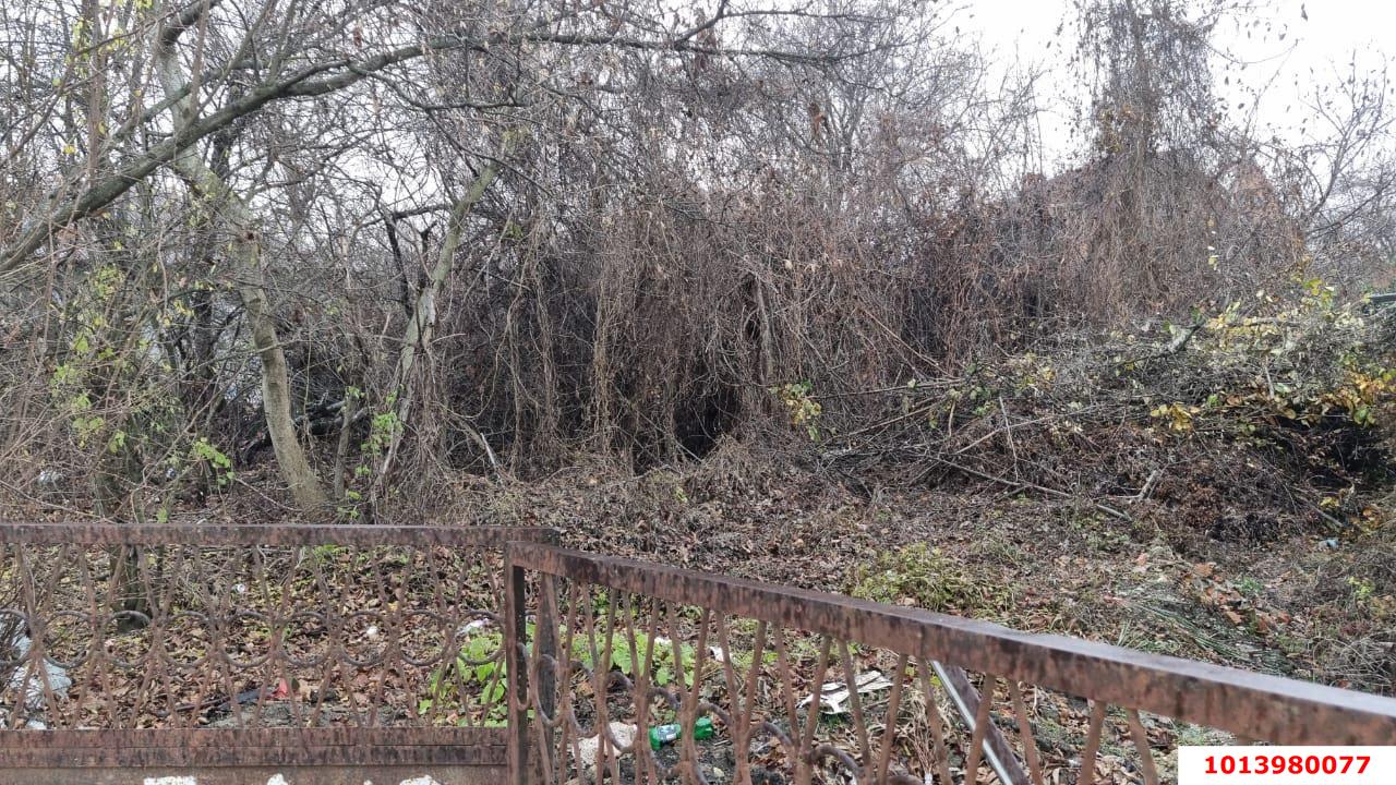 Фото №4: Земельный участок 5 сот. - Новый, ул. Лесная, 101