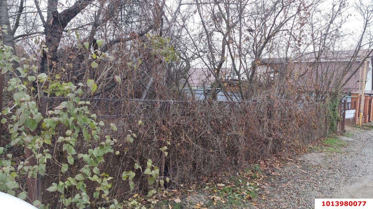 Фото №1: Земельный участок 5 сот. - Новый, ул. Лесная, 101